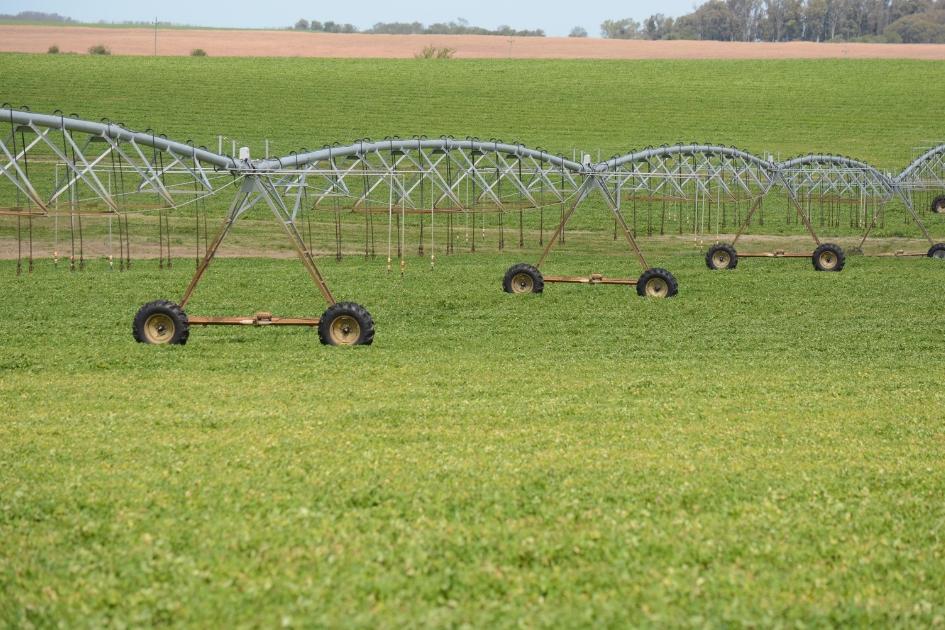 El uso del agua para riego La experiencia de Uruguay